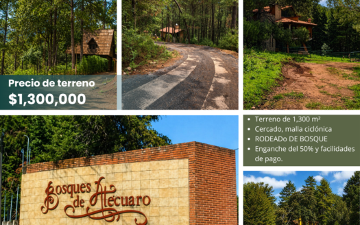 Bosques de Atecuaro 1300 m² lote