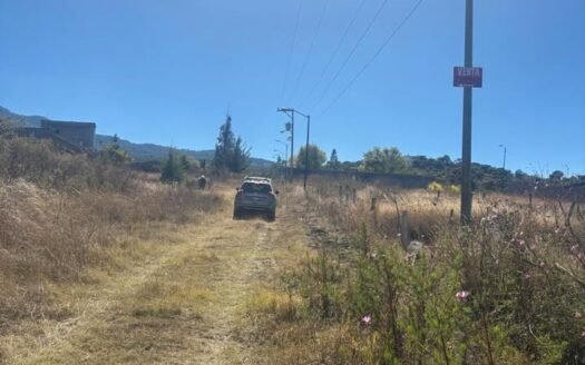 Capula Charangeo lote 1