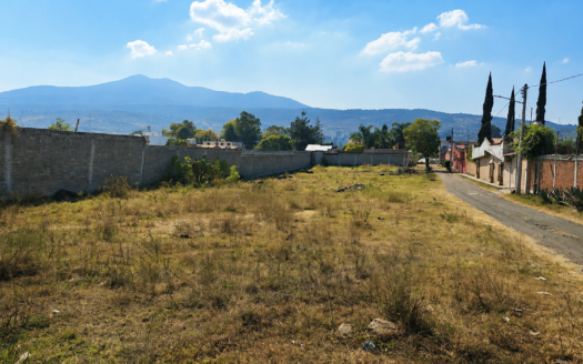 Capula lote PANTEON 650 M2