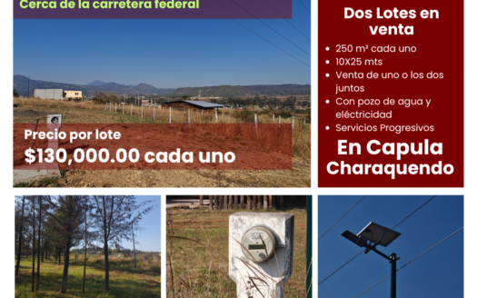 Capula Charaquendo lote 1