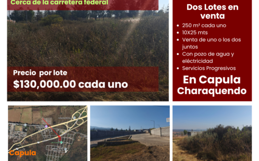 Capula Charaquendo lote 2